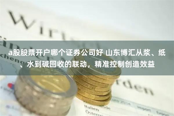 a股股票开户哪个证券公司好 山东博汇从浆、纸、水到碱回收的联动，精准控制创造效益