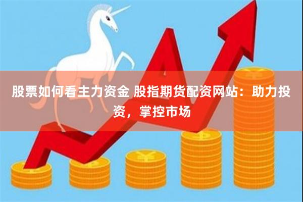 股票如何看主力资金 股指期货配资网站：助力投资，掌控市场