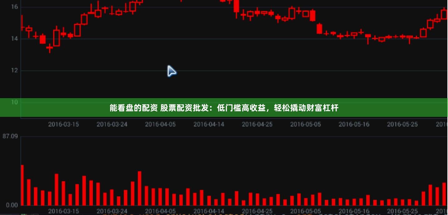能看盘的配资 股票配资批发:低门槛高收益,轻松撬动财富杠杆