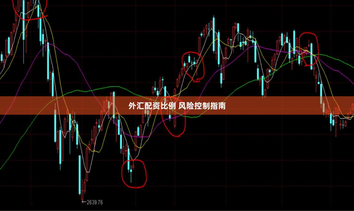 外汇配资比例 风险控制指南