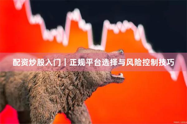 配资炒股入门｜正规平台选择与风险控制技巧